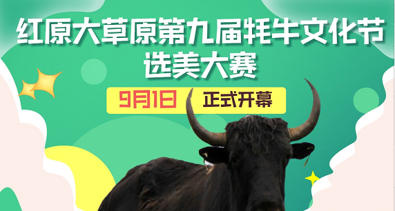 直播头像